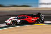 Imsa Weathertech Sportscar Championship of Monterey